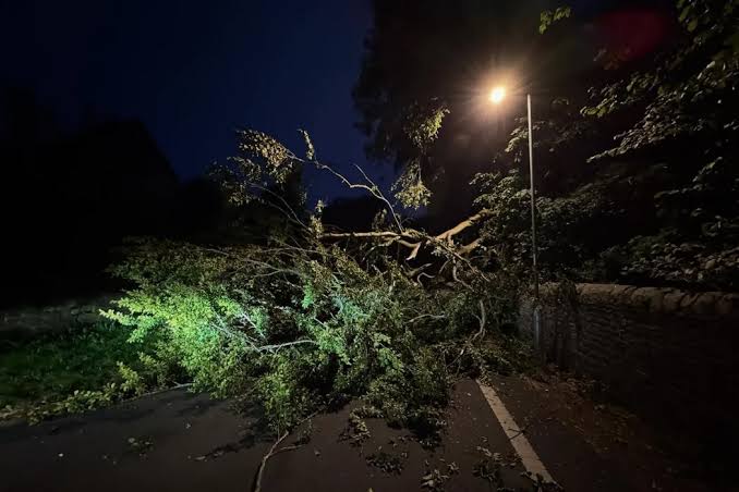 Emergency tree removal crew responding in Chicago after a storm