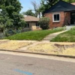 Stump Grinding and Removal in chicago