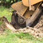 Stump Grinding and removal services in chicago