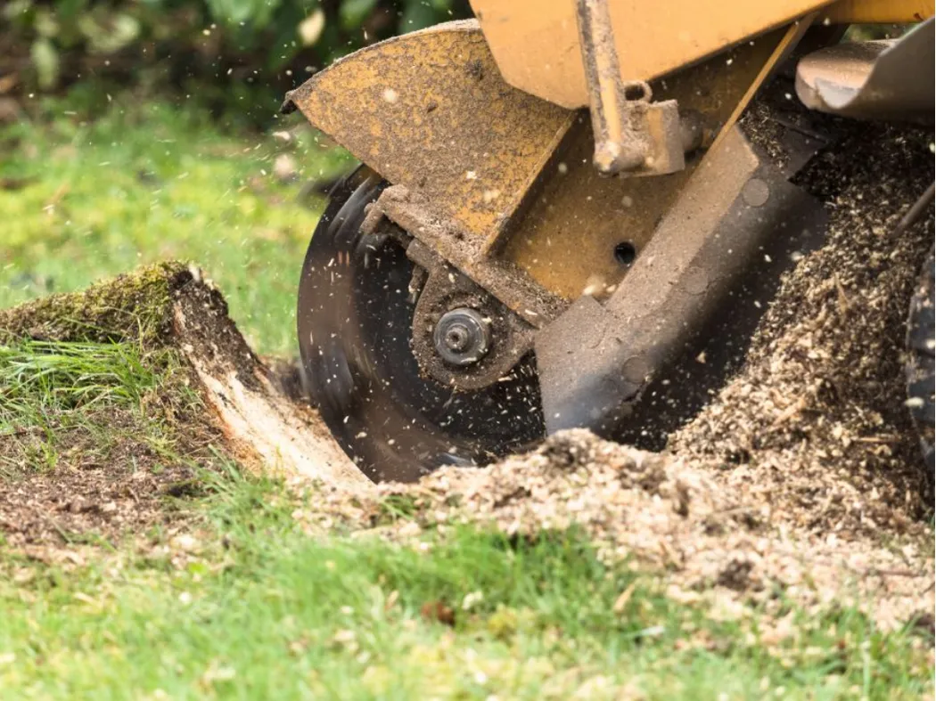 Stump Grinding and removal services in chicago