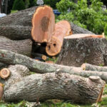 Tree Removal Cost