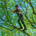Best Time To Trim Trees in Illinois