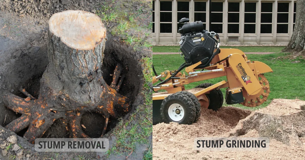 Stump Removal and Grinding in Chicago